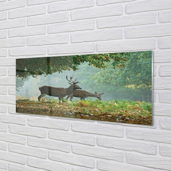 Tablouri pe sticlă pădure toamna Deer