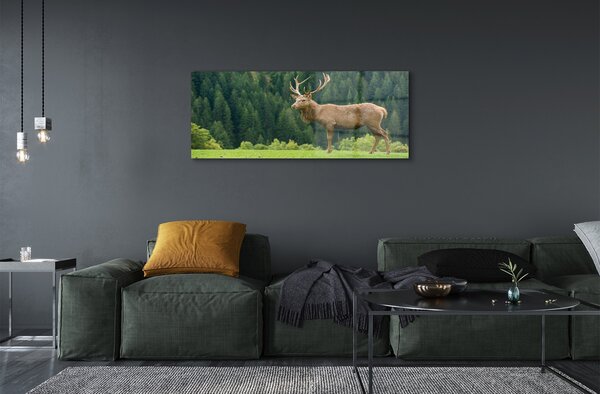 Tablouri pe sticlă Deer în domeniu