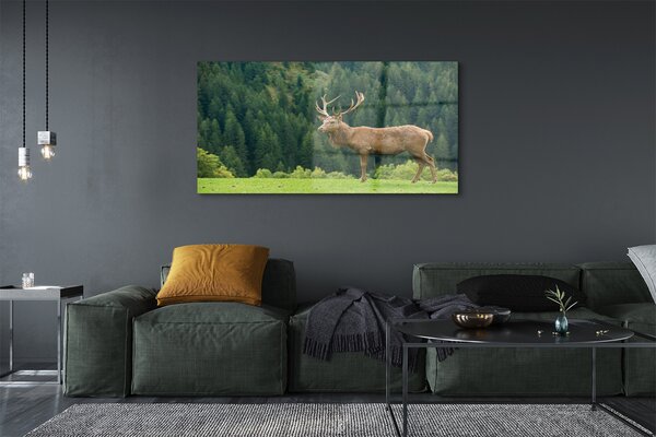 Tablouri pe sticlă Deer în domeniu