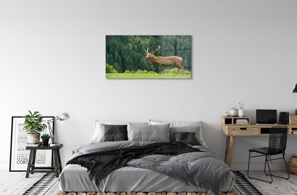 Tablouri pe sticlă Deer în domeniu