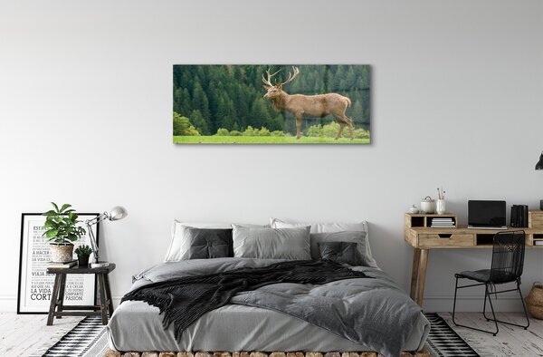 Tablouri pe sticlă Deer în domeniu