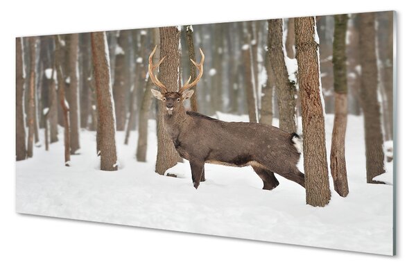 Tablouri pe sticlă pădure de iarnă Deer