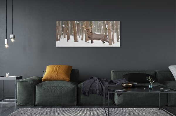 Tablouri pe sticlă pădure de iarnă Deer