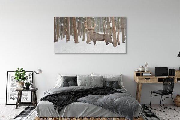 Tablouri pe sticlă pădure de iarnă Deer