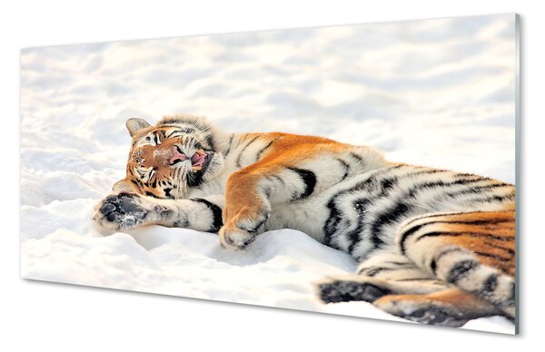 Panouri de sticlă Tiger de iarnă