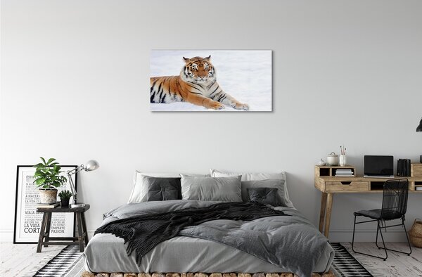 Tablouri pe sticlă Tiger de iarnă