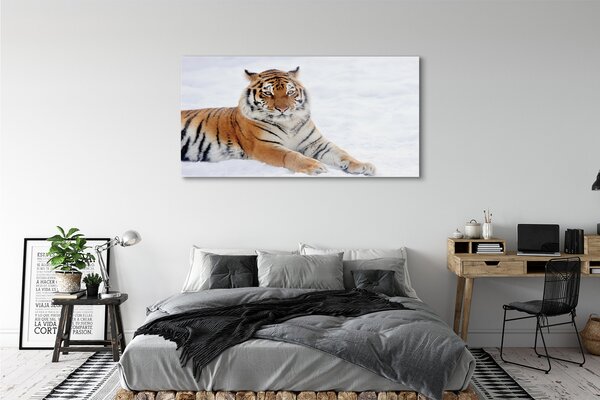 Tablouri pe sticlă Tiger de iarnă