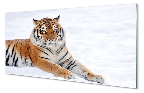 Tablouri pe sticlă Tiger de iarnă