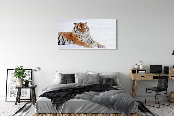Tablouri pe sticlă Tiger de iarnă