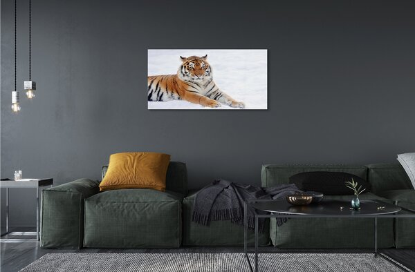 Tablouri pe sticlă Tiger de iarnă