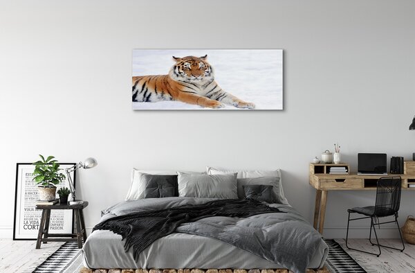 Tablouri pe sticlă Tiger de iarnă