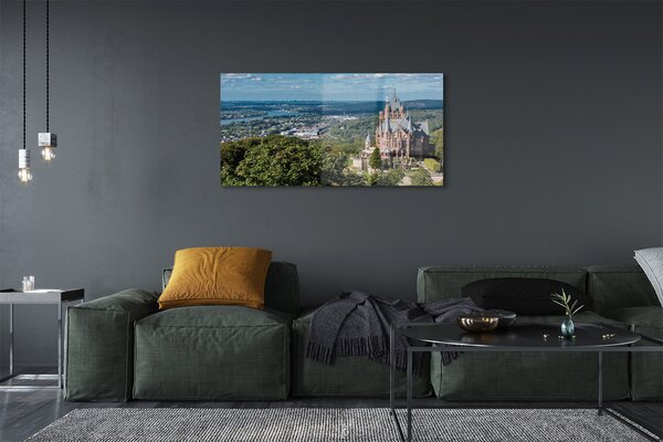 Tablouri pe sticlă Germania Panorama a castelului orașului