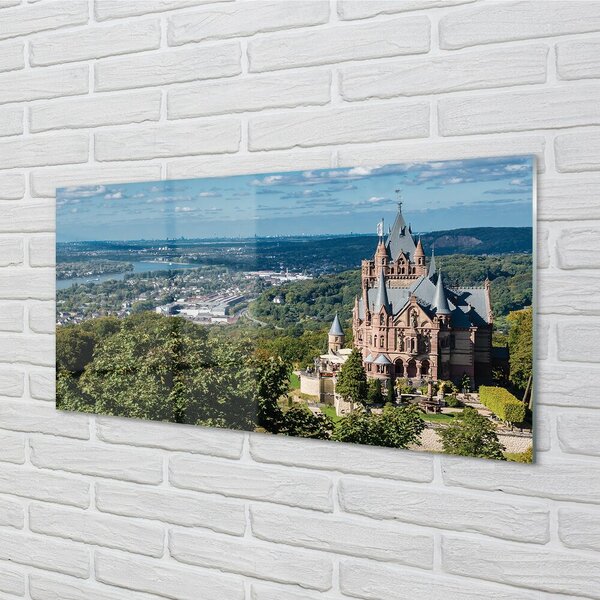 Tablouri pe sticlă Germania Panorama a castelului orașului