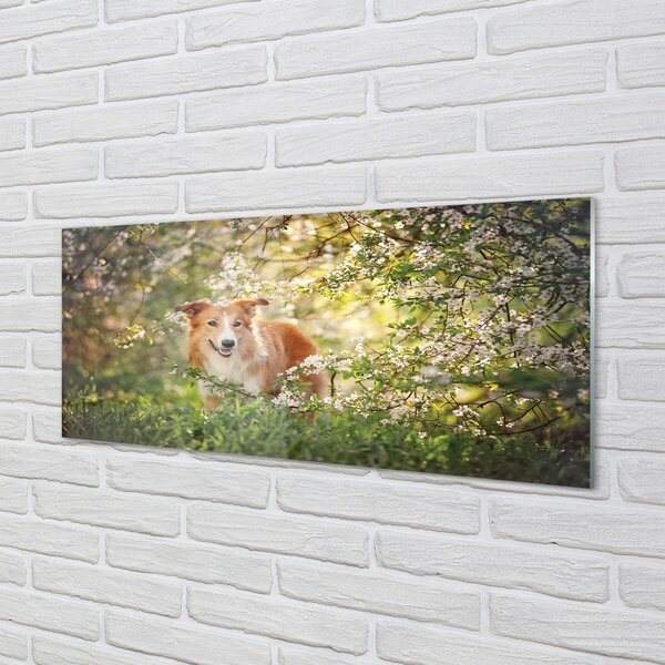 Tablouri acrilice Dog flori pădure