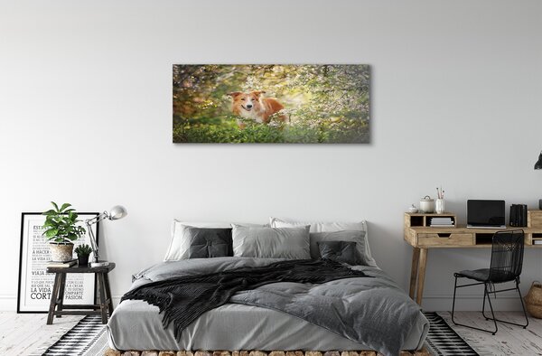 Tablouri acrilice Dog flori pădure