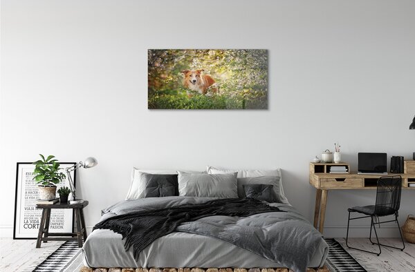Tablouri acrilice Dog flori pădure