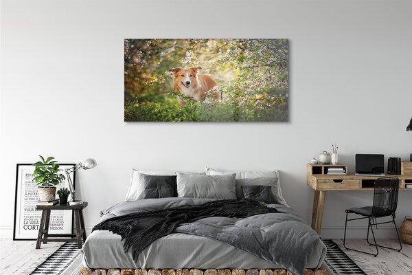 Tablouri acrilice Dog flori pădure