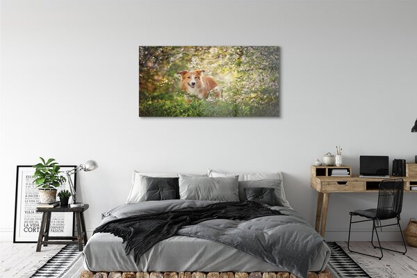 Tablouri acrilice Dog flori pădure