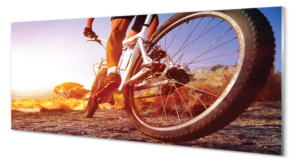 Panouri de sticlă Rutier biciclete de munte vest