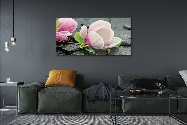 Tablouri pe sticlă pietre Magnolia
