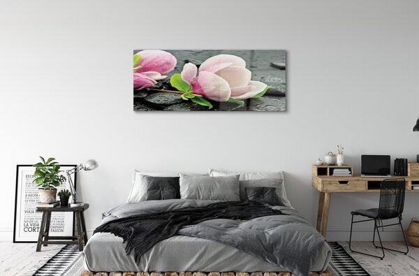 Tablouri pe sticlă pietre Magnolia