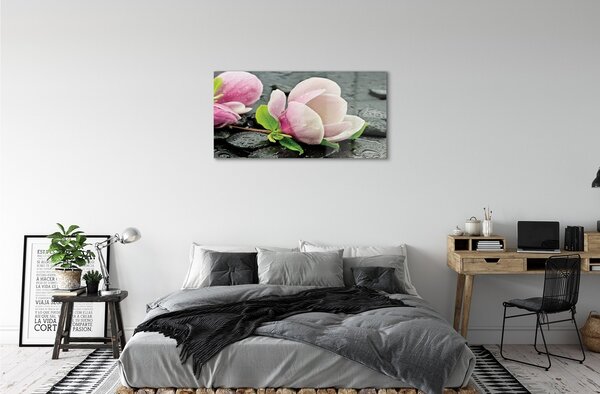 Tablouri pe sticlă pietre Magnolia