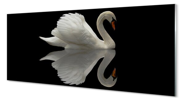 Tablouri pe sticlă Swan în noapte