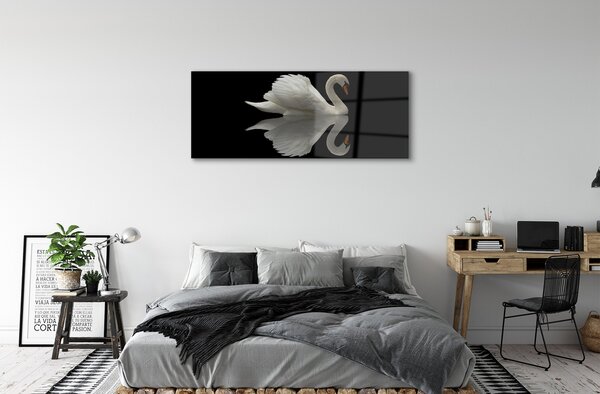 Tablouri pe sticlă Swan în noapte