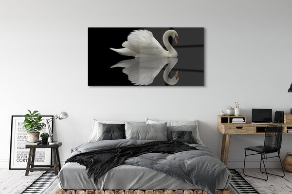 Tablouri pe sticlă Swan în noapte