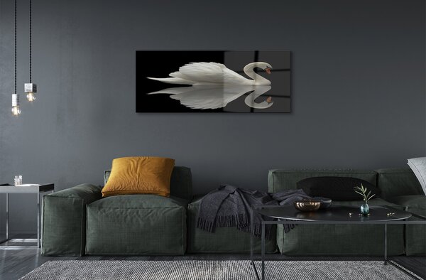 Tablouri pe sticlă Swan în noapte