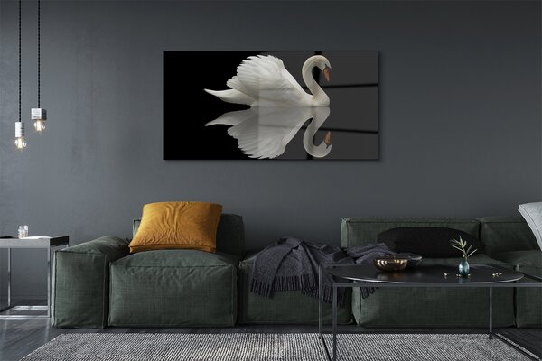 Tablouri pe sticlă Swan în noapte