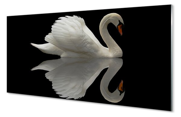 Tablouri pe sticlă Swan în noapte