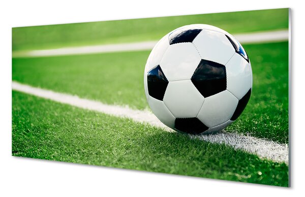 Tablouri pe sticlă peluză de fotbal