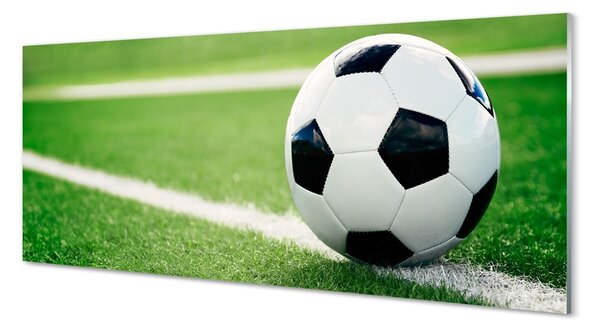 Tablouri pe sticlă peluză de fotbal
