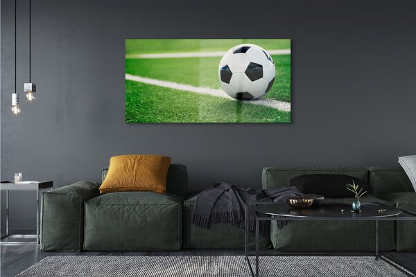 Tablouri pe sticlă peluză de fotbal