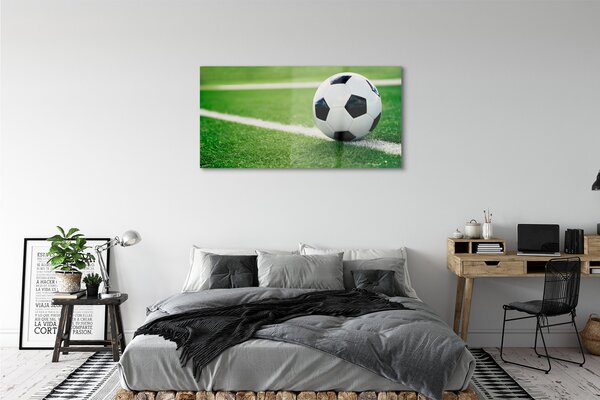 Tablouri pe sticlă peluză de fotbal