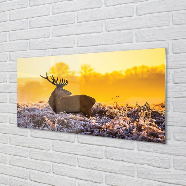 Panouri de sticlă Deer răsărit de soare de iarnă