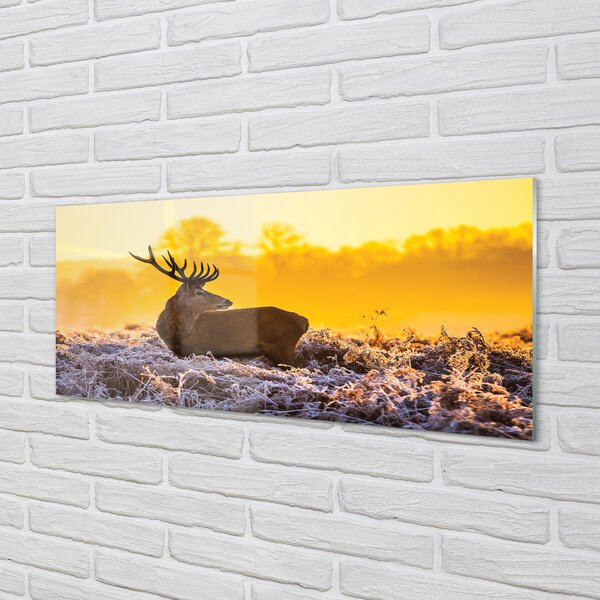 Panouri de sticlă Deer răsărit de soare de iarnă