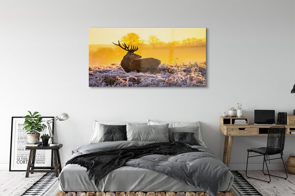 Tablouri pe sticlă Deer răsărit de soare de iarnă