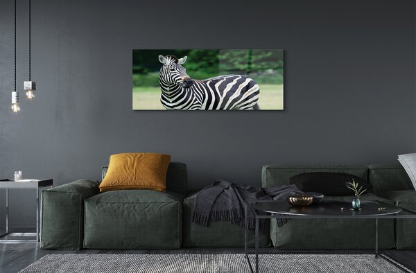 Tablouri pe sticlă caseta Zebra