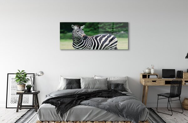 Tablouri pe sticlă caseta Zebra