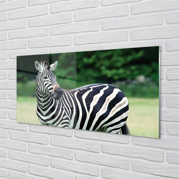 Tablouri pe sticlă caseta Zebra