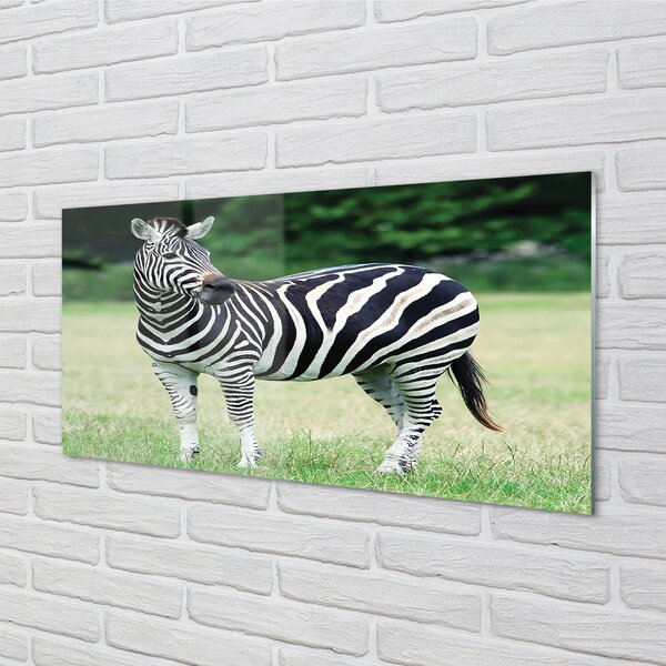 Tablouri pe sticlă caseta Zebra