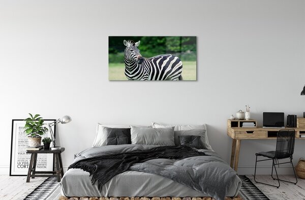 Tablouri pe sticlă caseta Zebra