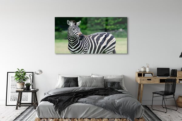Tablouri pe sticlă caseta Zebra