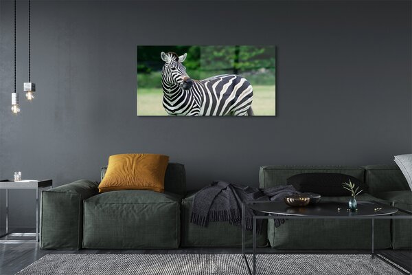 Tablouri pe sticlă caseta Zebra