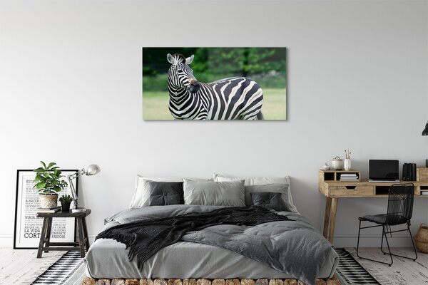 Tablouri pe sticlă caseta Zebra