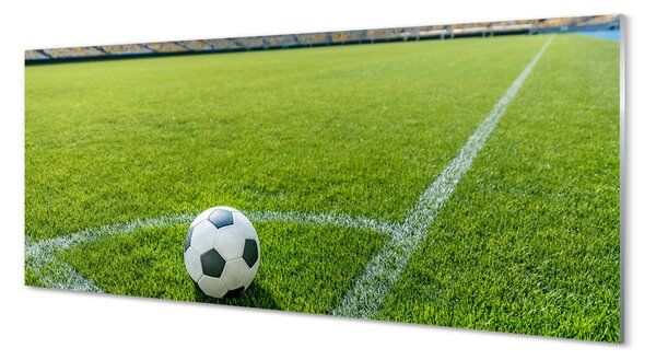 Panouri de sticlă Stadionul de fotbal cu gazon