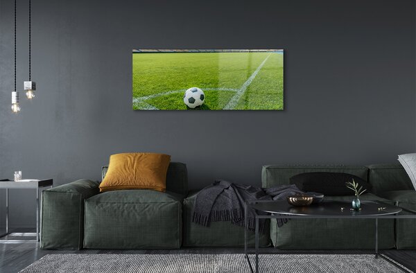 Tablouri pe sticlă Stadionul de fotbal cu gazon