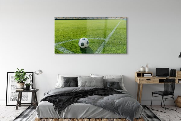 Tablouri pe sticlă Stadionul de fotbal cu gazon
